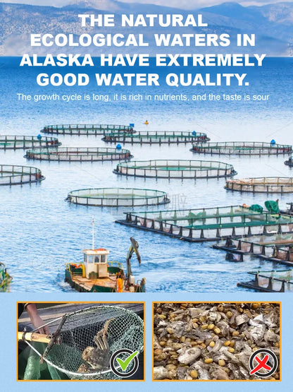 Alaskan Snow Crab Ready-to-EatCrispy Crab-Jani